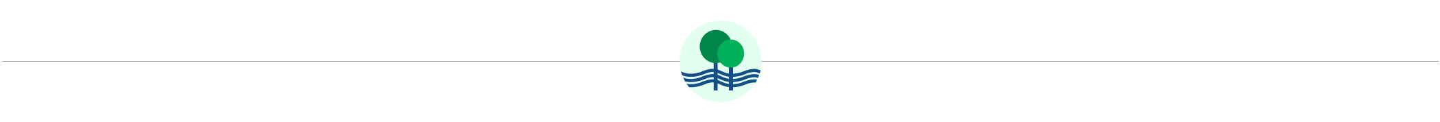 Dividing Line with Small Parks Board Logo